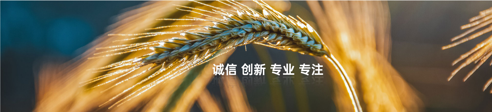 顧客至上，信譽第一